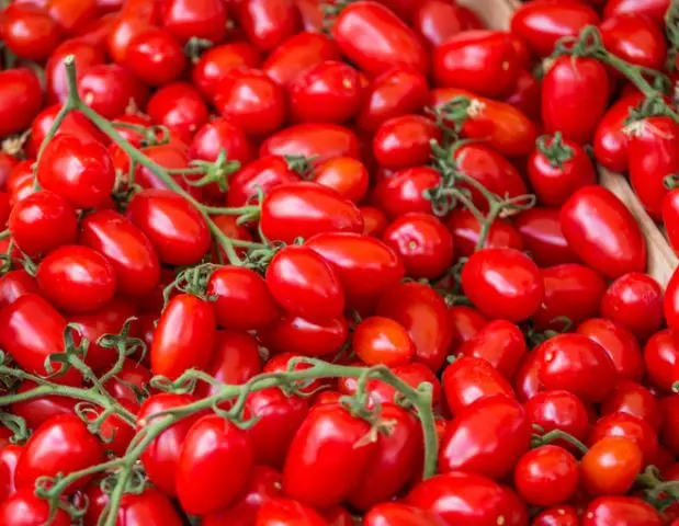 Freezing tomatoes for the winter at home