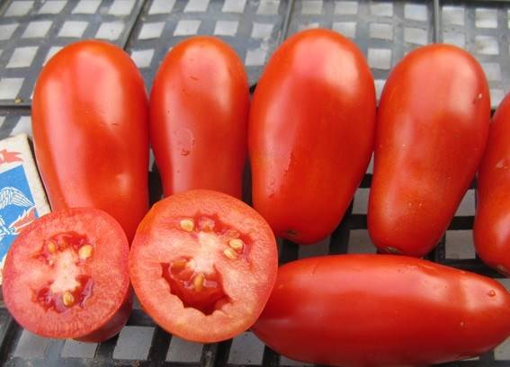 French grape tomato: characteristics and description of the variety