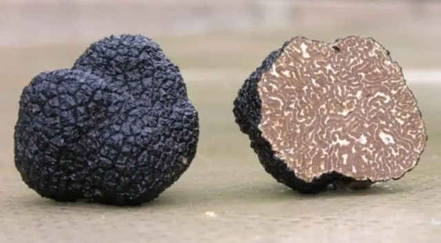 French truffle mushroom: edibility, description and photo