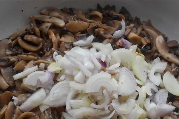 Fresh, dried and frozen porcini mushroom julienne