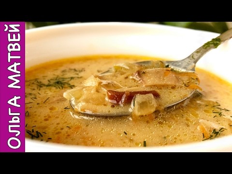 Fresh porcini mushroom soup recipes (with photos and videos)