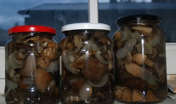 Fried autumn mushrooms for the winter: recipes