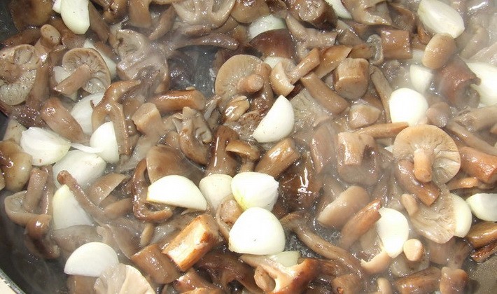 Fried autumn mushrooms for the winter: recipes