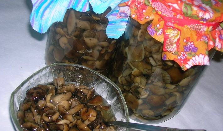 Fried autumn mushrooms for the winter: recipes