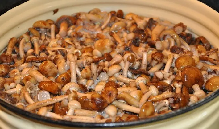 Fried autumn mushrooms: simple recipes