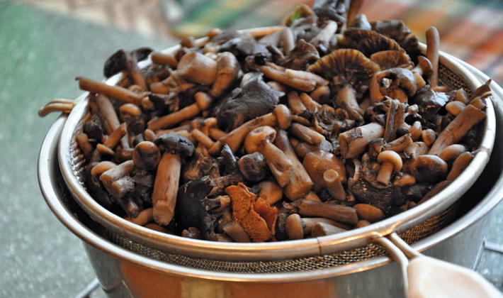 Fried autumn mushrooms: simple recipes
