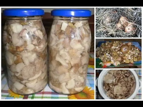 Fried boletus for the winter in jars: recipes with photos, harvesting mushrooms