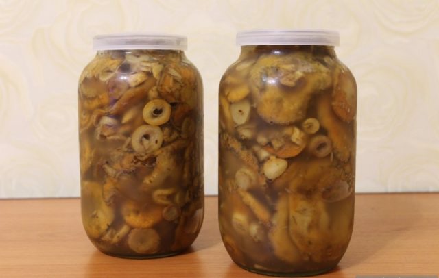 Fried boletus for the winter in jars: recipes with photos, harvesting mushrooms