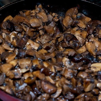 Fried boletus mushrooms: mushroom recipes