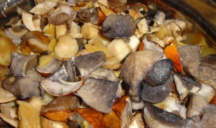 Fried boletus mushrooms: mushroom recipes