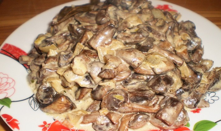 Fried boletus mushrooms: mushroom recipes