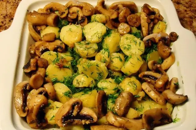 Fried boletus with potatoes: cooking recipes