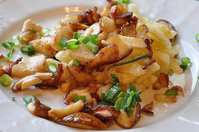 Fried boletus with potatoes: cooking recipes