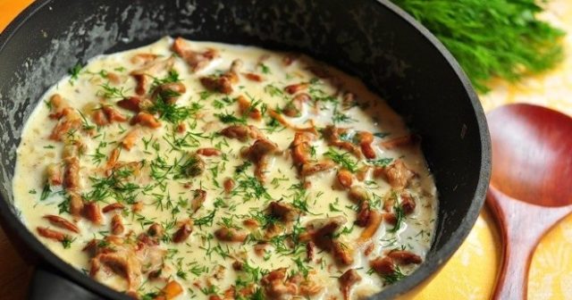 Fried chanterelles in sour cream with onions: how to cook, recipes