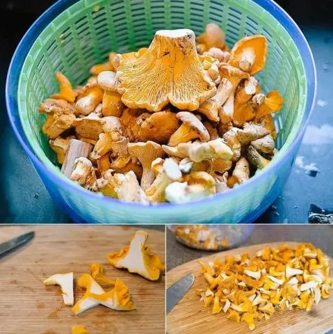 Fried chanterelles with potatoes: how to cook, recipes