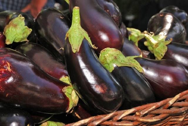 Fried eggplant &#8220;like mushrooms&#8221; &#8211; recipe