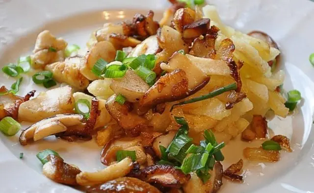 Fried mushrooms: cooking recipes