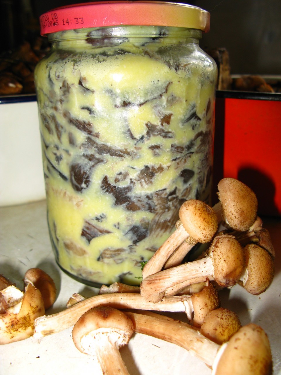 Fried mushrooms for the winter