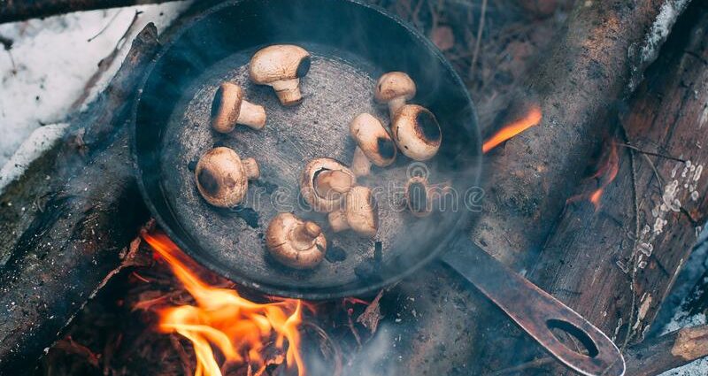 Fried mushrooms for the winter