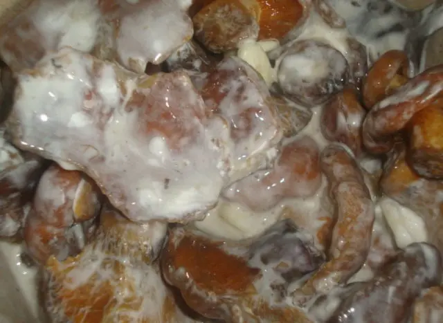 Fried mushrooms in sour cream: mushroom recipes