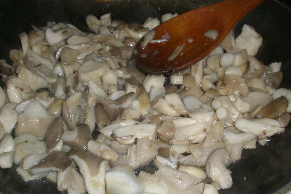 Fried oyster mushrooms: how to cook mushrooms deliciously