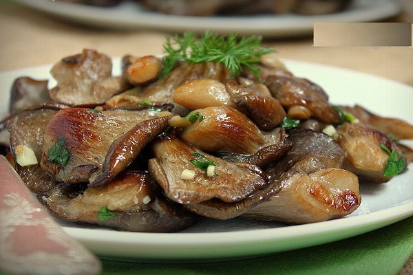 Fried oyster mushrooms: how to cook mushrooms deliciously