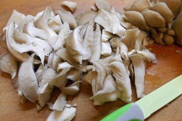 Fried oyster mushrooms: how to cook mushrooms deliciously