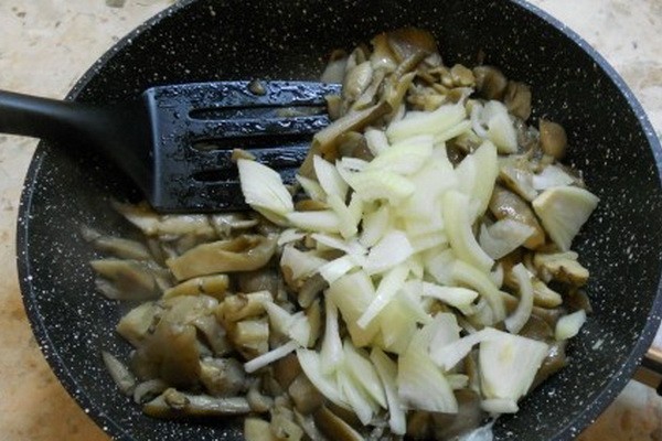 Fried oyster mushrooms: how to cook mushrooms deliciously