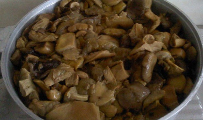 Fried russula: mushroom recipes