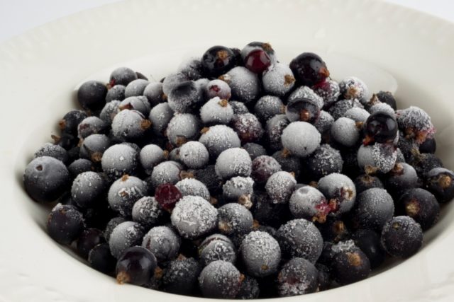 Frozen blackcurrant tincture: on vodka, moonshine, alcohol