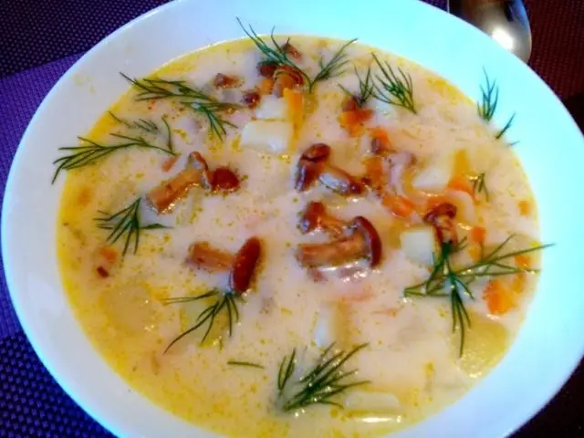 Frozen chanterelle soup: recipes with photos