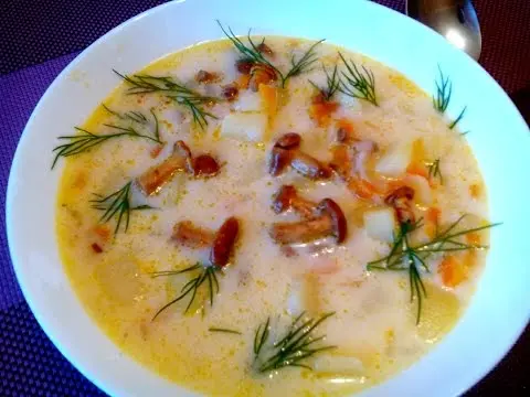 Frozen chanterelle soup: recipes with photos