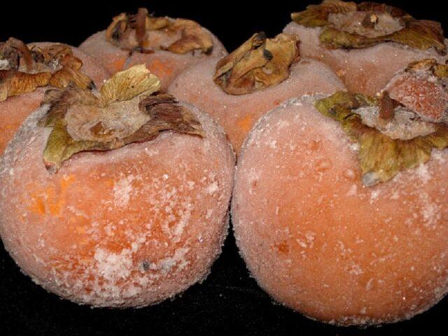 Frozen persimmon: benefits and harms to the body, loses its properties or not