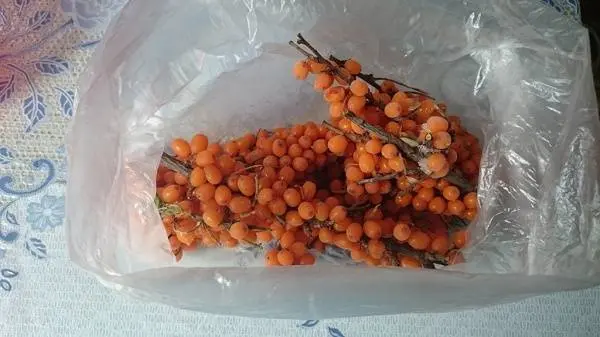 Frozen sea buckthorn