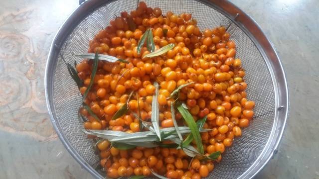 Frozen sea buckthorn