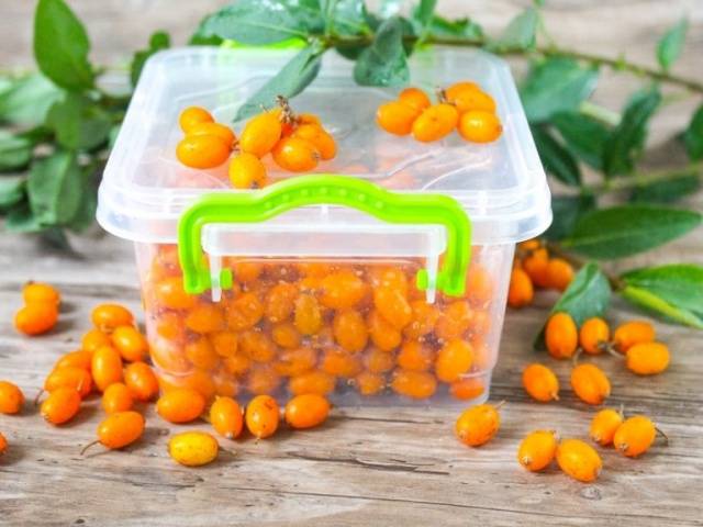 Frozen sea buckthorn