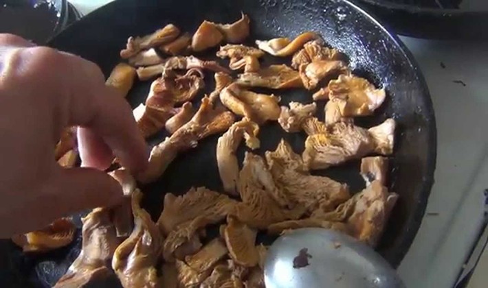 Frying recipes for cooking porcini and black mushrooms