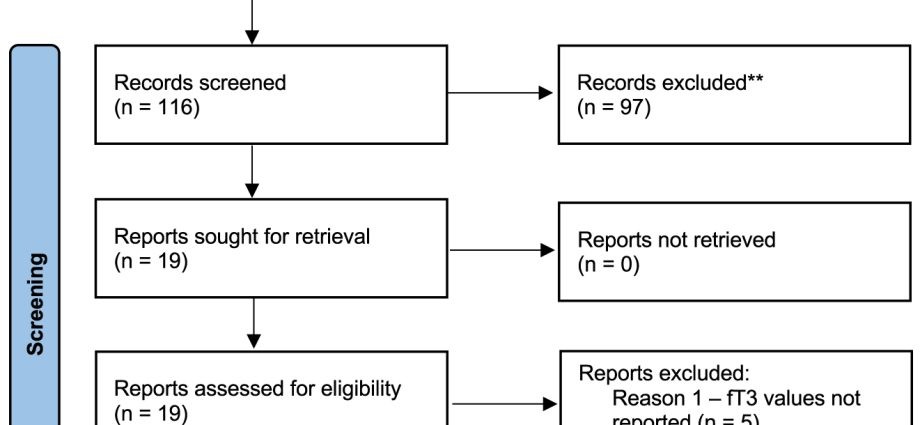 FT3 &#8211; the purpose and course of the study, interpretation of the results