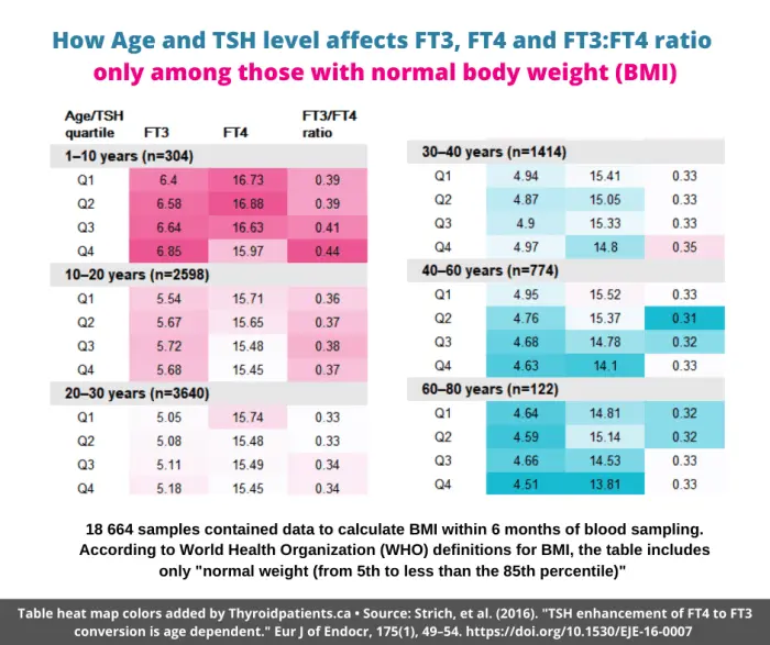 Ft4 survey &#8211; what does ft4 mean too high? Test standards and price