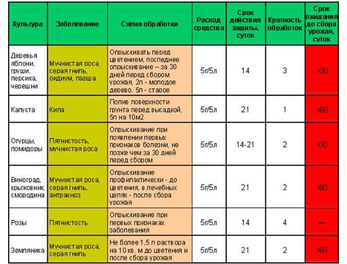 Fundazol: instructions for use of fungicide for indoor and garden plants and analogues of the drug