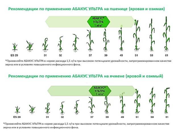 Fungicide Abacus Ultra