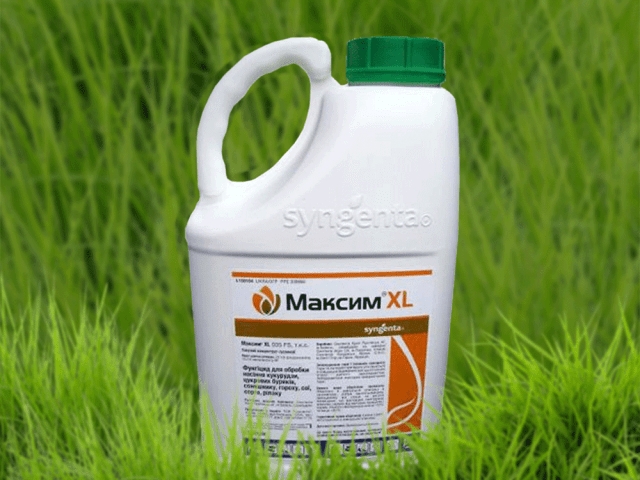 Fungicide Maxim