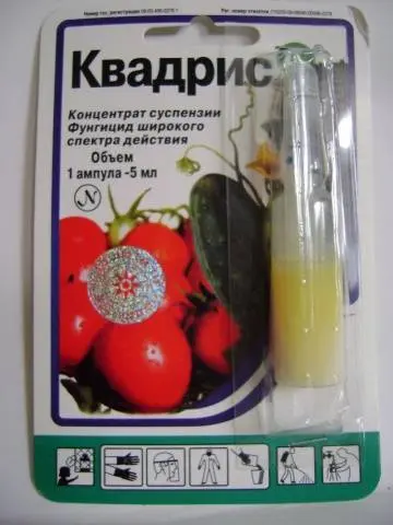Fungicide Quadris: consumption rate for grapes, tomatoes