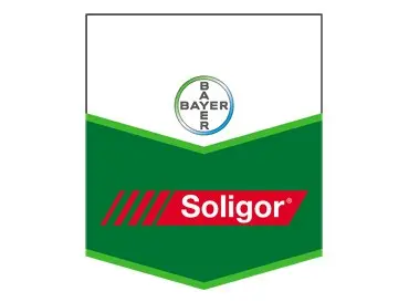 Fungicide Soligor