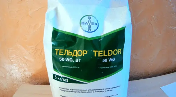 Fungicide Teldor: instructions for use, reviews