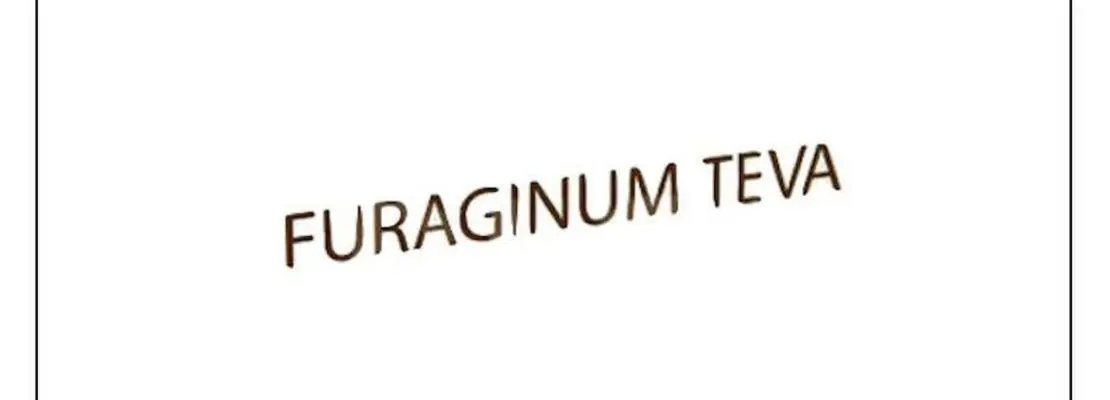 Furaginum TEVA &#8211; composition, dosage, contraindications to use