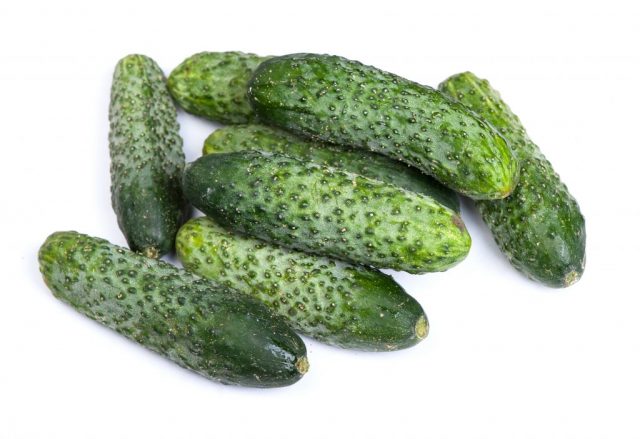 Furor Cucumbers: reviews, photos, yield