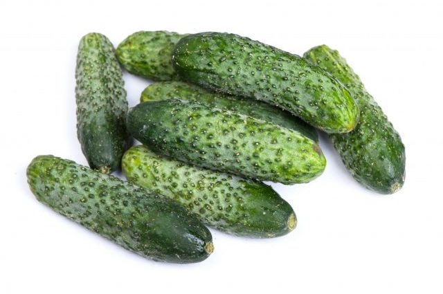 Furor Cucumbers: reviews, photos, yield