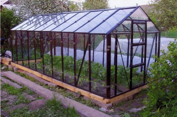 Gable greenhouse from a profile pipe: drawing and instructions