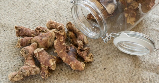 Galangal root tincture: medicinal properties, recipes, use for men, for potency, reviews